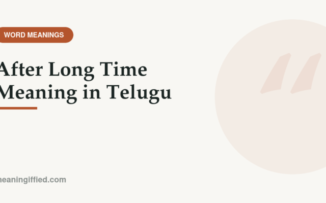 After long time meaning in Telugu shown with English translation example