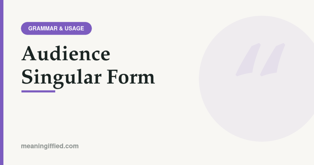 Illustration explaining that audience singular form is one word with singular verb agreement