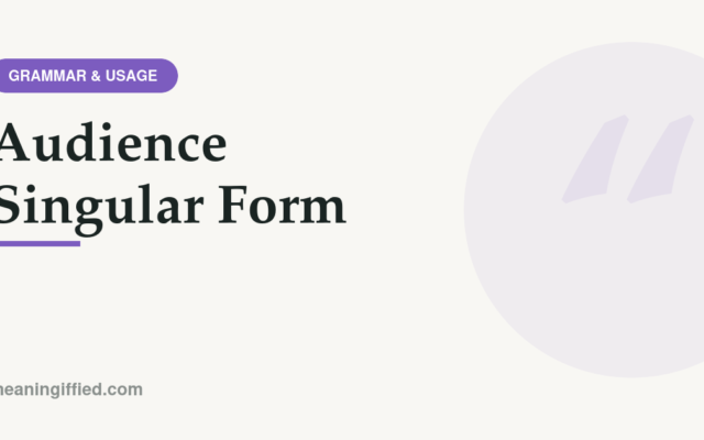 Illustration explaining that audience singular form is one word with singular verb agreement