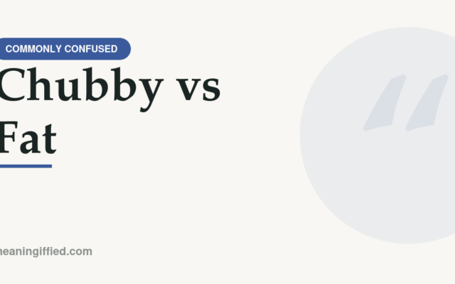 Chubby vs fat word comparison showing tone and usage differences