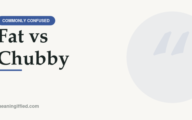 Fat vs chubby word comparison showing tone and meaning differences