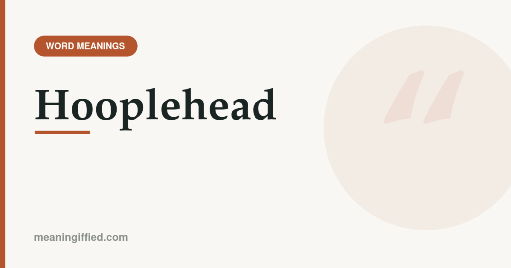 Illustration representing the meaning of the slang word hooplehead