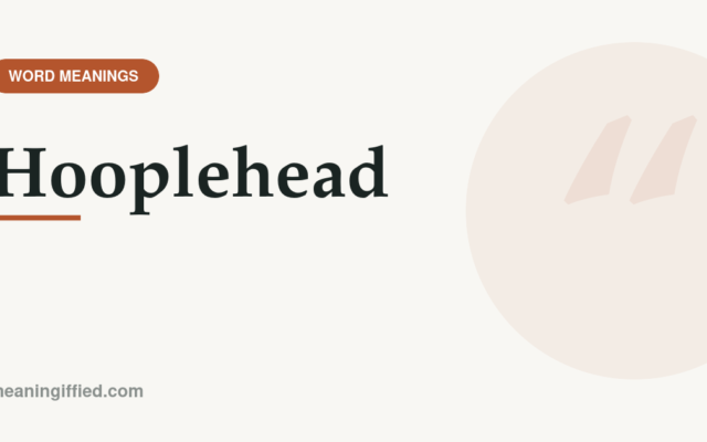 Illustration representing the meaning of the slang word hooplehead
