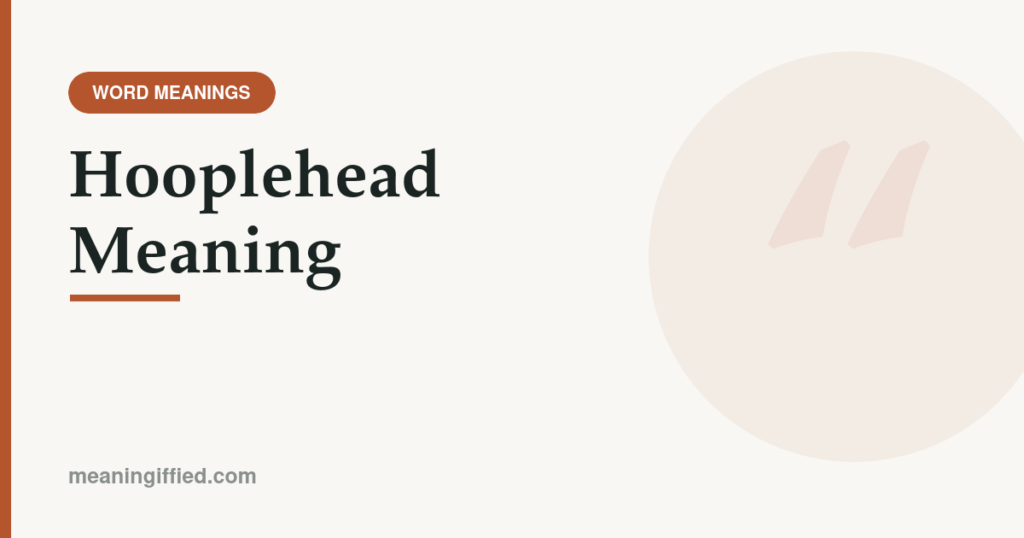 Illustration representing the slang word hooplehead and its meaning