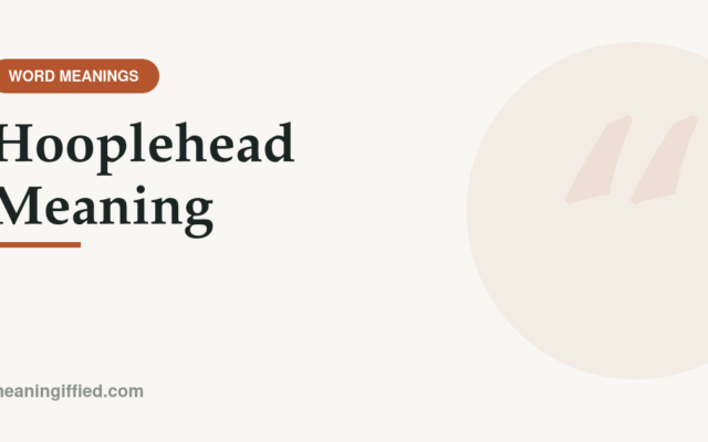 Illustration representing the slang word hooplehead and its meaning