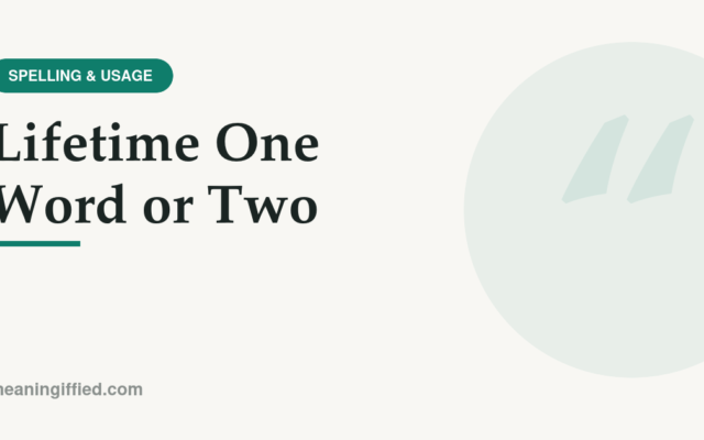 Lifetime one word or two spelling comparison graphic