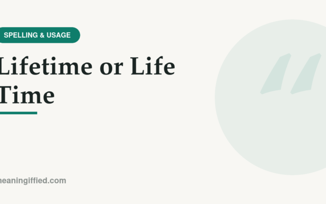 Lifetime or life time spelling comparison shown as one word versus two words