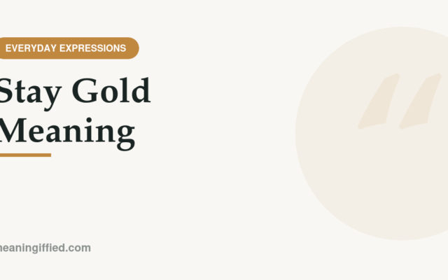Golden autumn leaves symbolizing the stay gold meaning phrase
