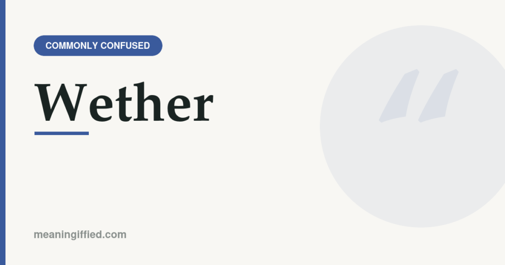 Wether meaning illustrated with a sheep, showing the difference from weather and whether