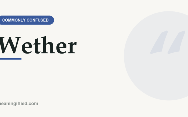 Wether meaning illustrated with a sheep, showing the difference from weather and whether